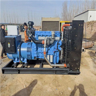 蠡縣30-2000kW發電機出租與發電機機組生產、維修服務全方位解析